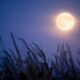 Things to Know about the 2025 Harvest Moon, October Full Supermoon