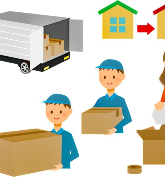 Why Hundreds Choose Movers in Raleigh for a Fresh Start