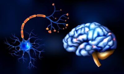 New Research and Treatments in Motor Neurone Disease