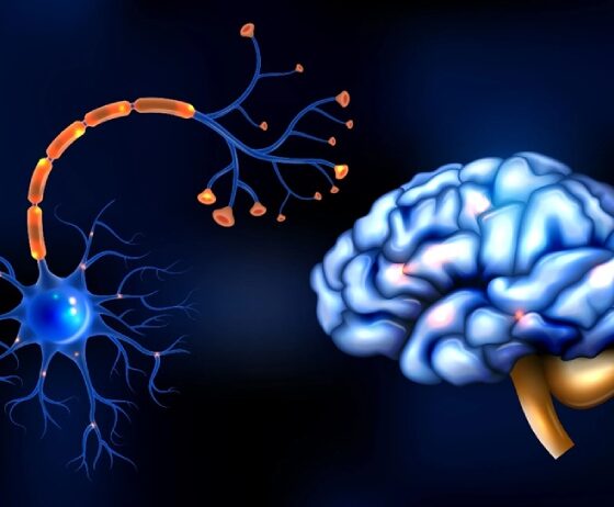 New Research and Treatments in Motor Neurone Disease