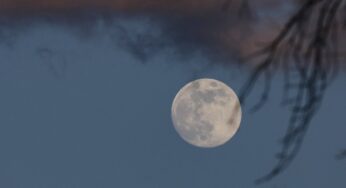 January Full Moon 2026: Everything You Should Need to Know, When and Where to See Wolf Supermoon