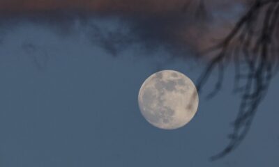January Full Moon 2026 Everything You Should Need to Know, When and Where to See Wolf Supermoon