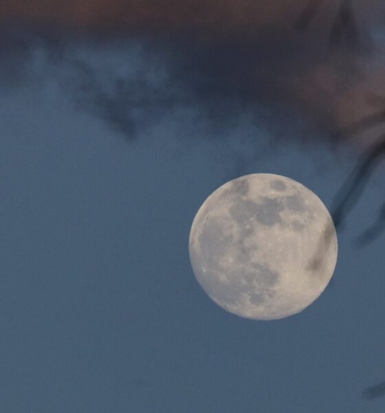January Full Moon 2026 Everything You Should Need to Know, When and Where to See Wolf Supermoon