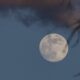 January Full Moon 2026 Everything You Should Need to Know, When and Where to See Wolf Supermoon