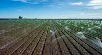 Steve Weymer: Smart Irrigation Systems and the Benefits of a Water Audit