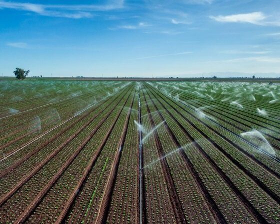 Steve Weymer Smart Irrigation Systems and the Benefits of a Water Audit