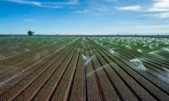 Steve Weymer Smart Irrigation Systems and the Benefits of a Water Audit