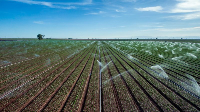 Steve Weymer Smart Irrigation Systems and the Benefits of a Water Audit