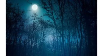 May Full Moon 2026: Everything You Should Need to Know, When and Where to See Rare Blue Moon