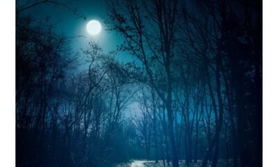 May Full Moon 2026 Everything You Should Need to Know, When and Where to See Rare Blue Moon
