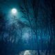 May Full Moon 2026 Everything You Should Need to Know, When and Where to See Rare Blue Moon