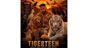 Tigerteeh Rescue House: Touseef Panchbhaya’s Mission of Love and Care for Animals