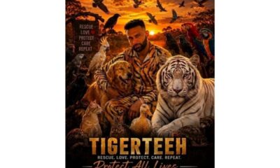 Tigerteeh Rescue House Touseef Panchbhaya’s Mission of Love and Care for Animals
