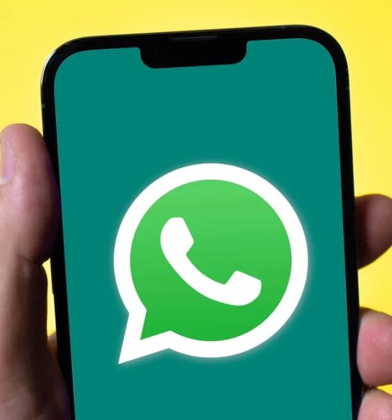 WhatsApp Plus Expands to iPhones With New Premium Features