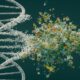 Mark Bouzyk Using DNA to Make a Difference