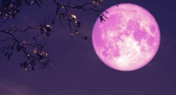 Strawberry Moon Rises Tonight: Everything to Know About June’s Full Moon; When and How to Watch