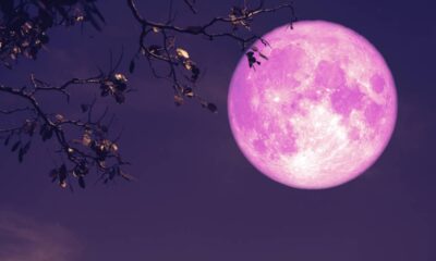 Strawberry Moon Rises Tonight Everything to Know About June's Full Moon; When and How to Watch