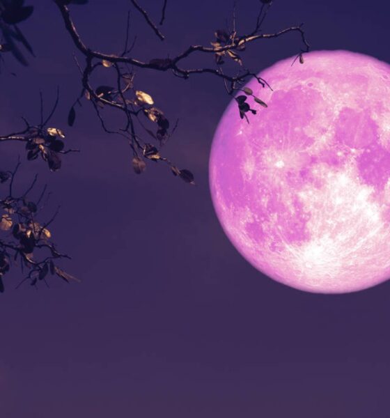 Strawberry Moon Rises Tonight Everything to Know About June's Full Moon; When and How to Watch