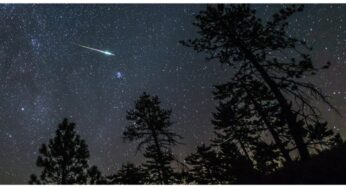 How to Watch the Perseid Meteor Shower 2026 and Other July Meteor Displays