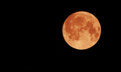 Sturgeon Moon 2026 When and How to See August 28 Full Moon