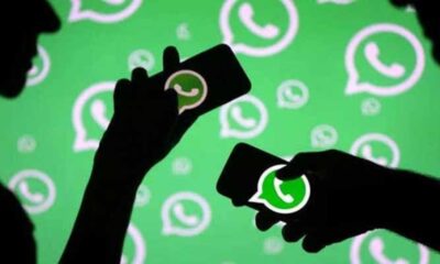 WhatsApp Adds Animated Wallpapers to New iPhone Chat Themes