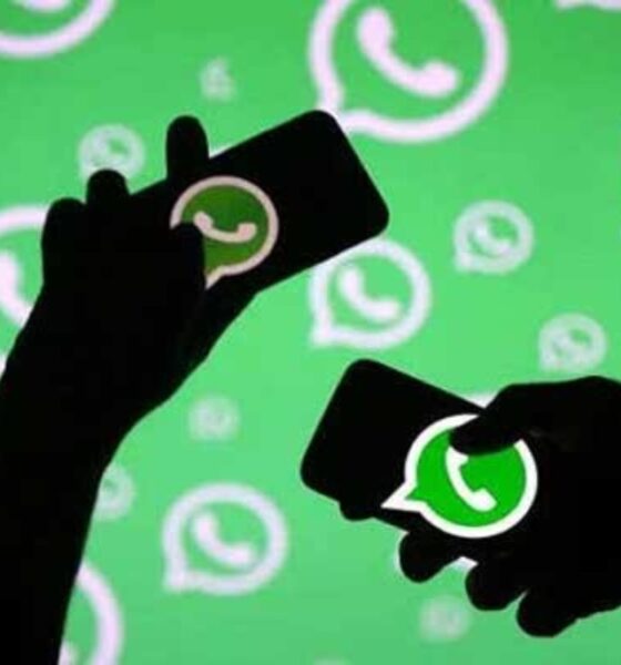 WhatsApp Adds Animated Wallpapers to New iPhone Chat Themes
