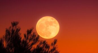 September 2026 Full Moon: When, Where, and How to See the Harvest Moon