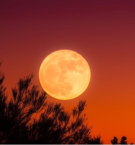 September 2026 Full Moon When, Where, and How to See the Harvest Moon