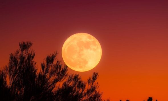 September 2026 Full Moon When, Where, and How to See the Harvest Moon