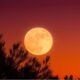 September 2026 Full Moon When, Where, and How to See the Harvest Moon