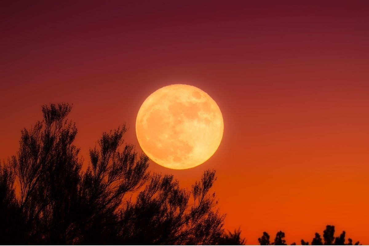 September 2026 Full Moon When, Where, and How to See the Harvest Moon