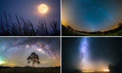 September 2026 Skywatching Highlights for US Skywatchers Include Venus and Harvest Moon